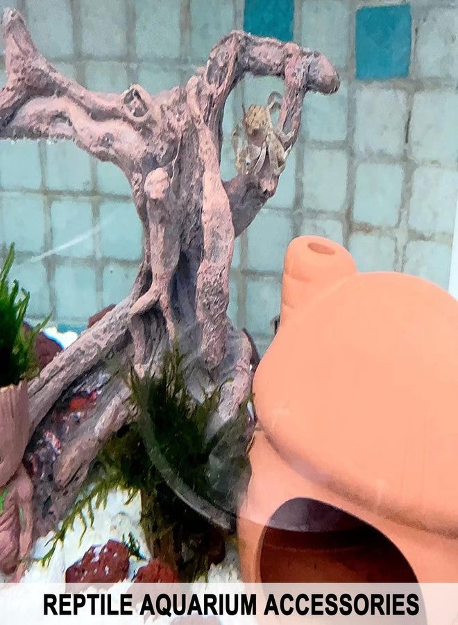 Anranmm Hermit Crab Climbing Toys Aquarium Decorations Artificial Tree Trunk Ornaments Betta Fish Hideout Caves Reptile Habitat Decor Accessories for Leopards Geckos Lizards - Image 5